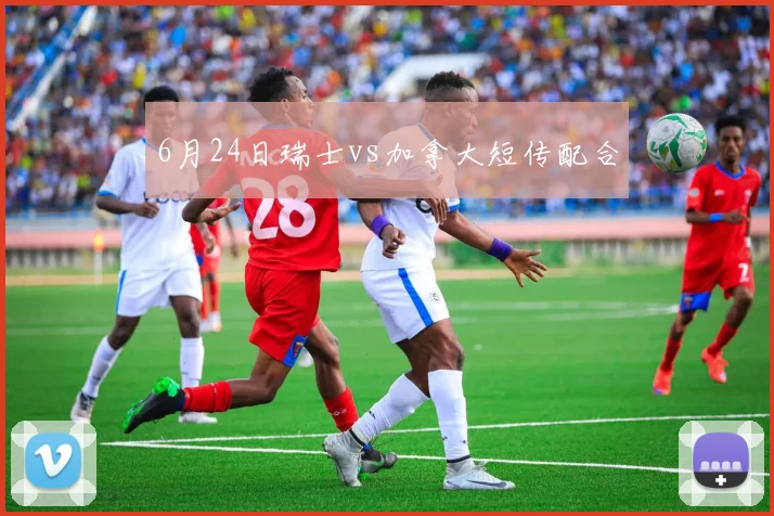 6月24日瑞士vs加拿大短传配合