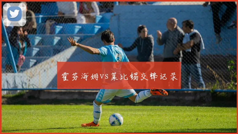 霍芬海姆vs莱比锡交锋记录