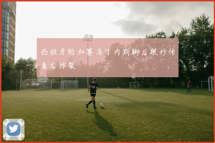西班牙附加赛马丁内斯脚后跟妙传看台炸裂