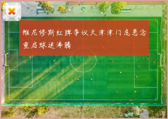 维尼修斯红牌争议天津津门虎悬念重启球迷沸腾