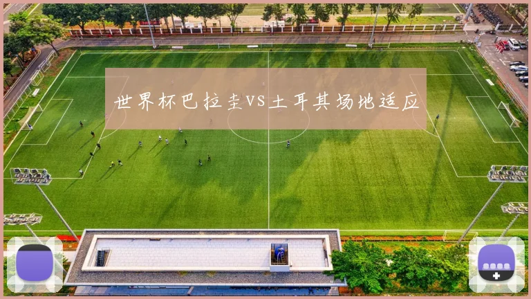 世界杯巴拉圭vs土耳其场地适应